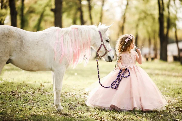 Mini Session Photography in Highland Village